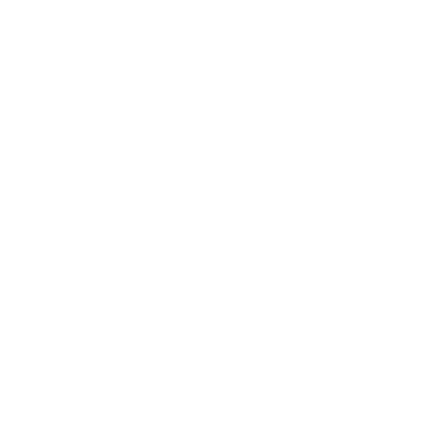 Logo Distillerie du 29 Octobre